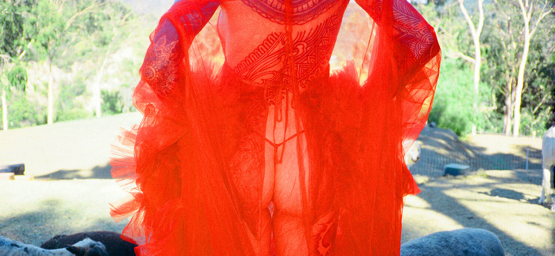 Red lace garment with a blurred outdoor background