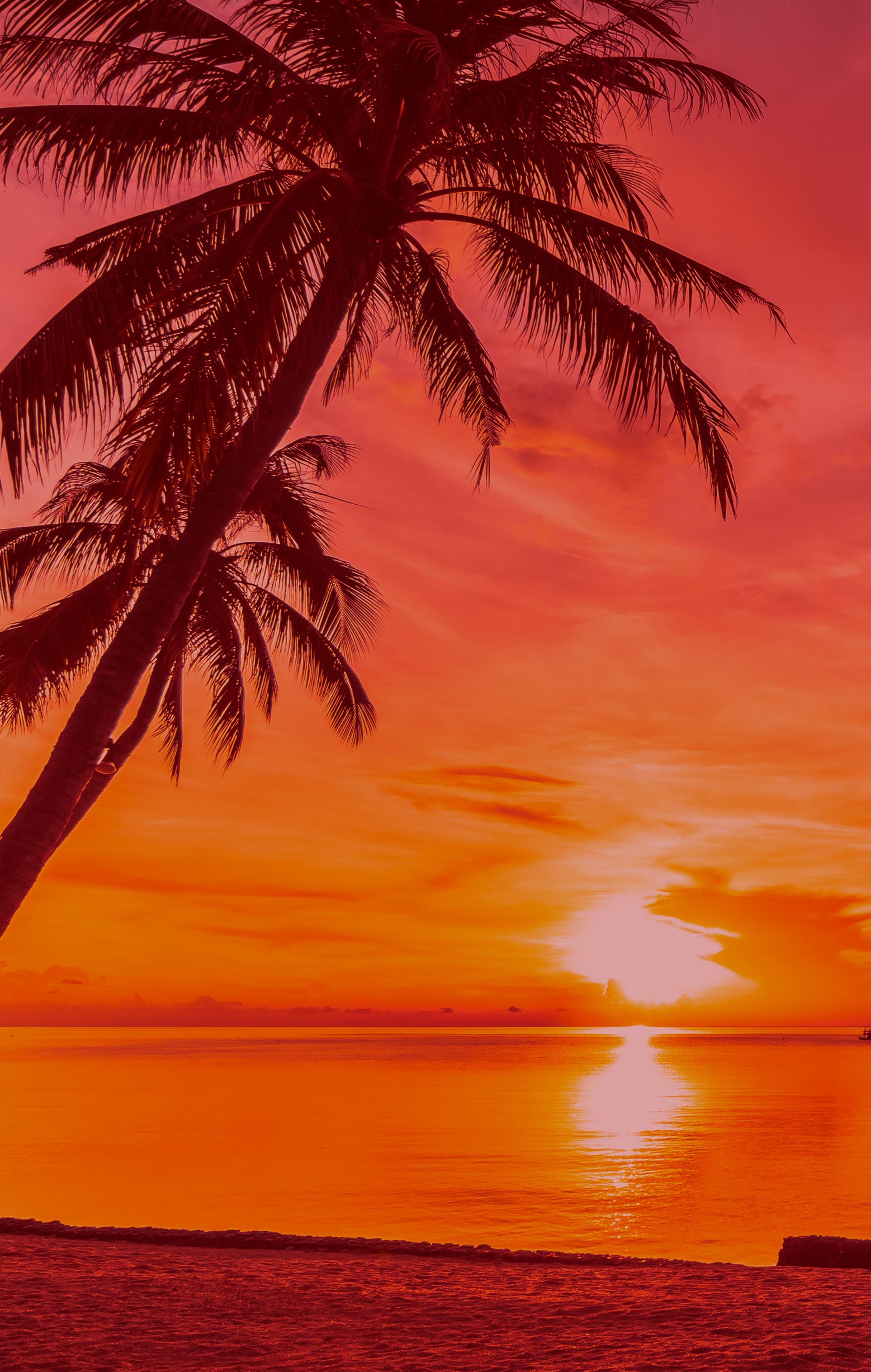 A tropical beach sunset scene with silhouetted palm trees against a vivid orange and red sky, with the sun low over the ocean and its reflection shimmering on the water.