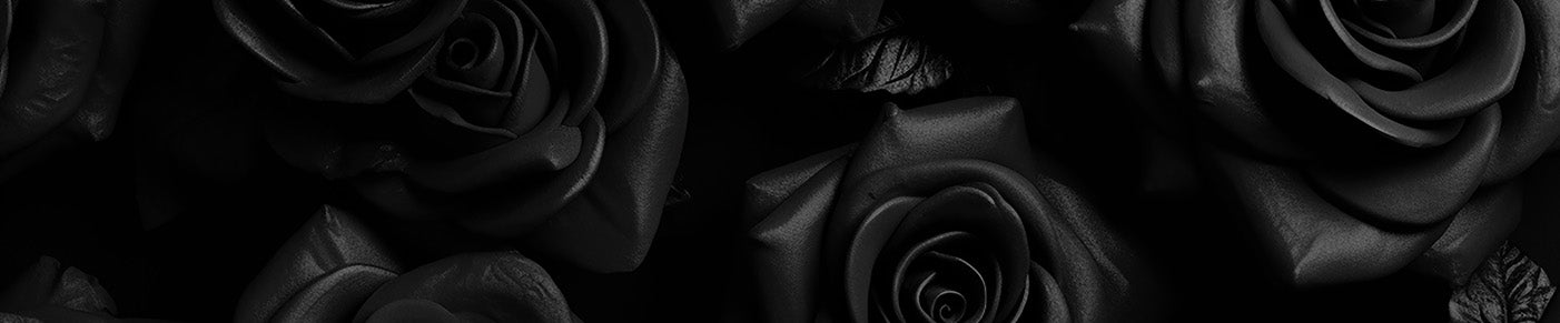 Close-up of black roses with a dark background