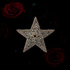 Star-shaped brooch with rhinestones on a dark background with roses