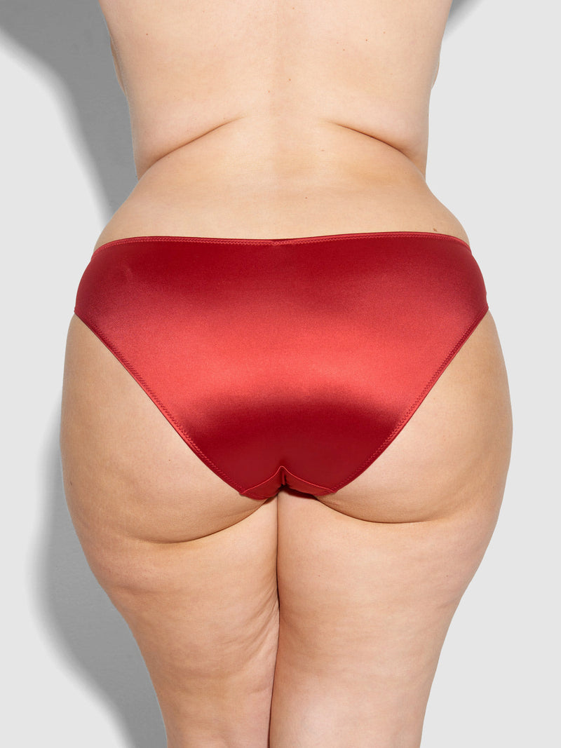 A person is shown from the back against a plain, light gray background wearing the Frederick's of Hollywood Lexi Liquid Satin Hipster in luxe red.