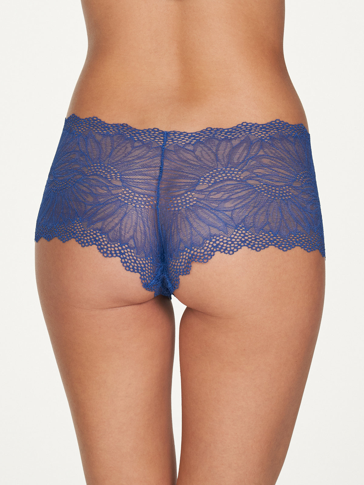 Saffron Floral Lace Cheeky - Fredericks of Hollywood