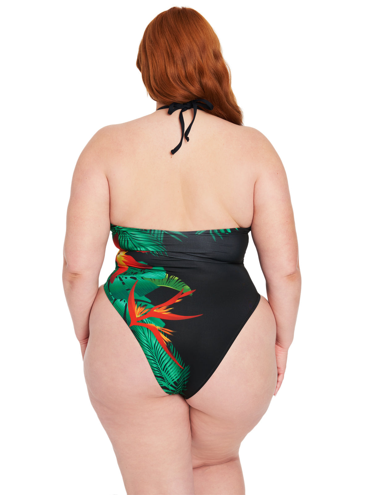 Cabarita One-Piece Swimsuit - Fredericks of Hollywood