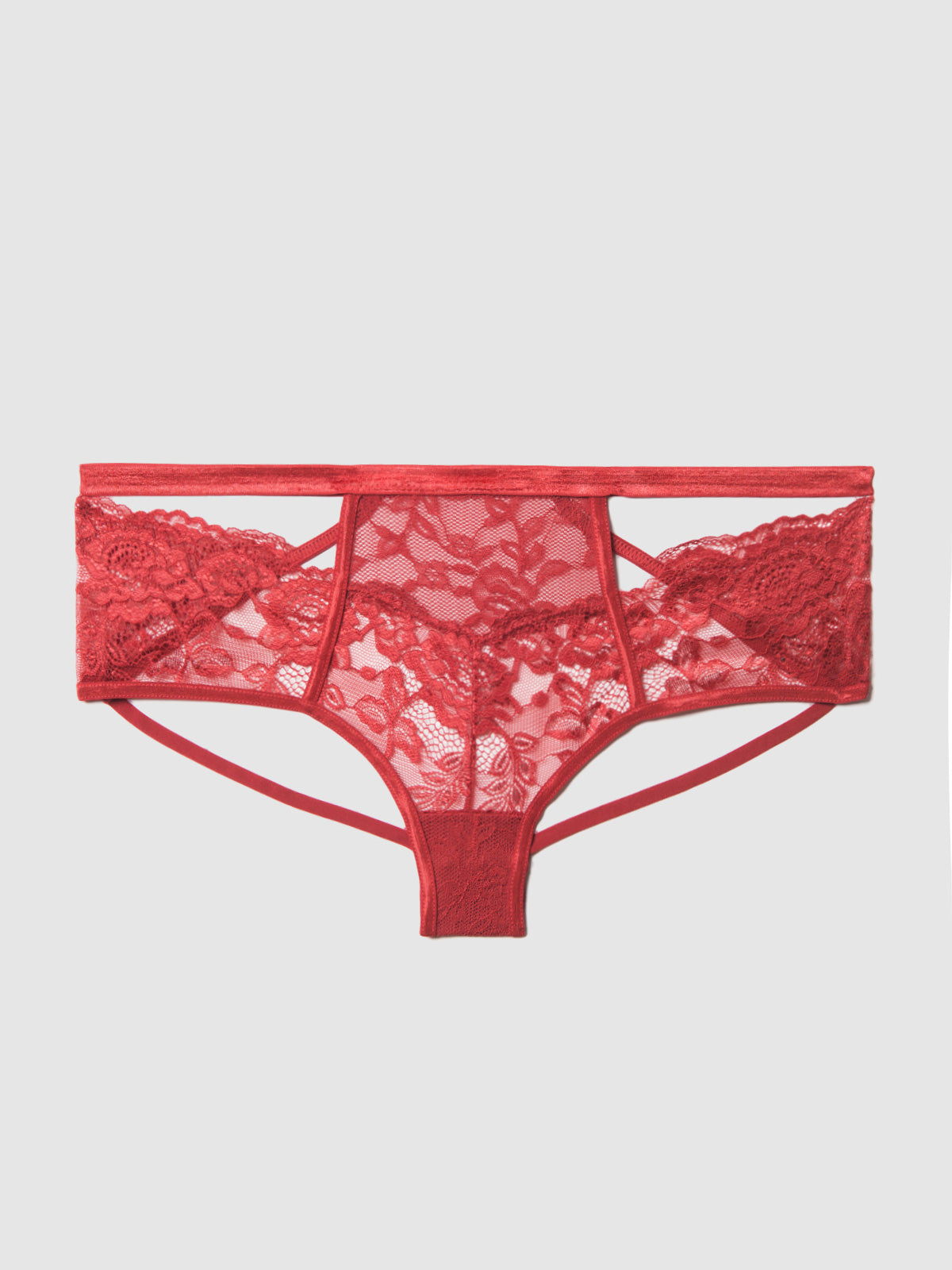 Desiree Lace Crotchless High Waist Hipster - Fredericks of Hollywood